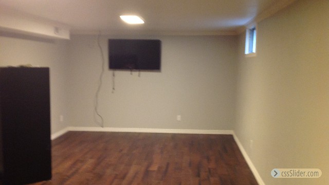 Bonus room in basement